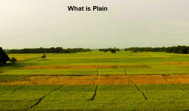 What is Plain